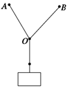 c1231