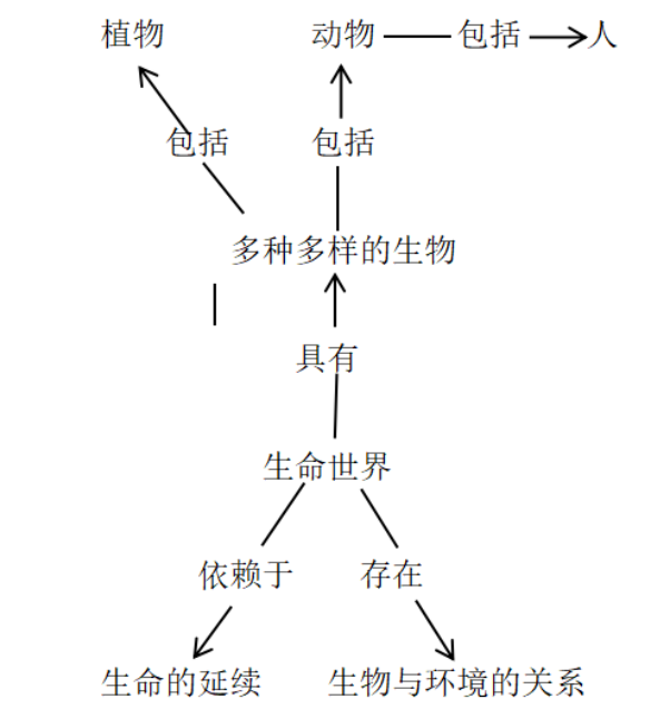 图片 3.png